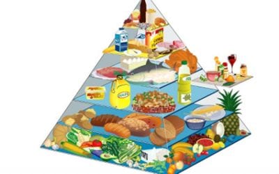 BIEN MANGER, avec nos CE1